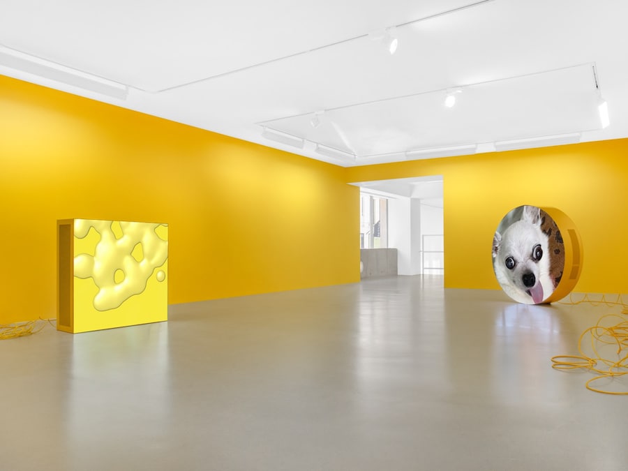 Installation_view__Martine_Syms__Present_Goo__Sadi 14