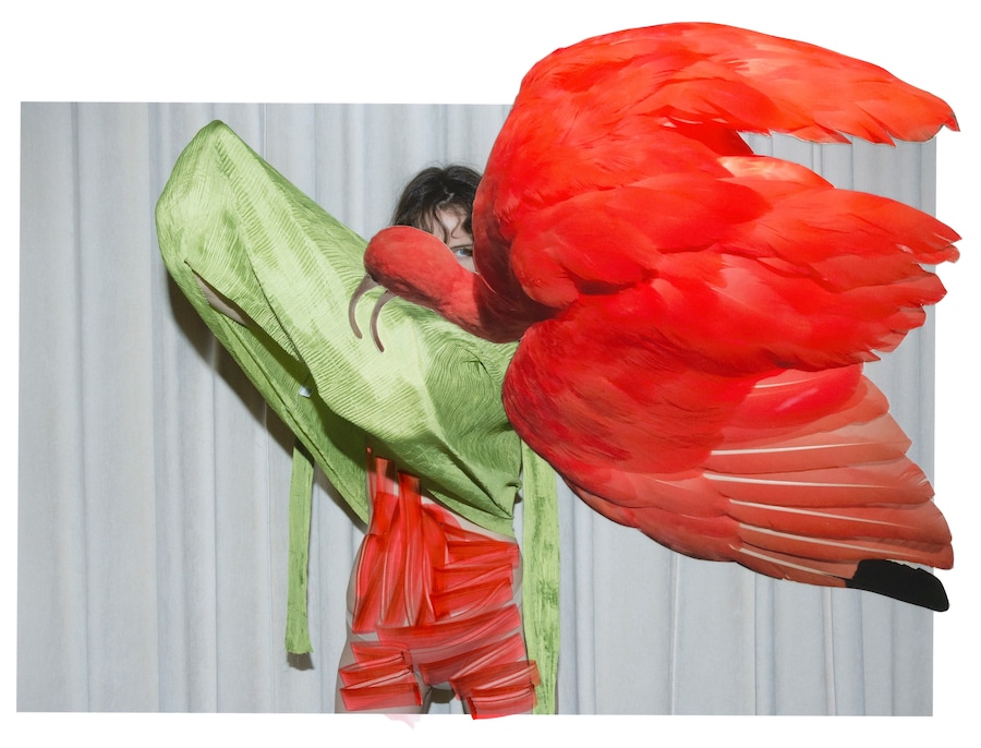 Viviane Sassen, Of Mud &amp; Lotus, &#39;Eudocimus Ruber&#39; (2017) 4
