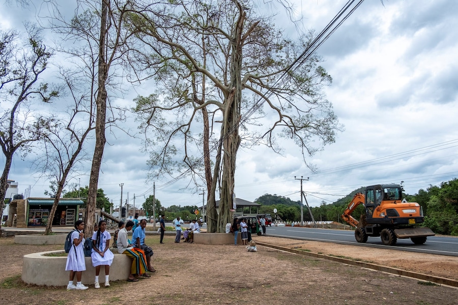 Tashiya de Mel photographer 10