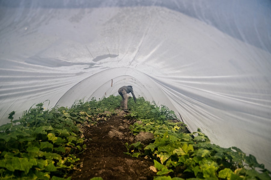 Laure Playoust photographer 8