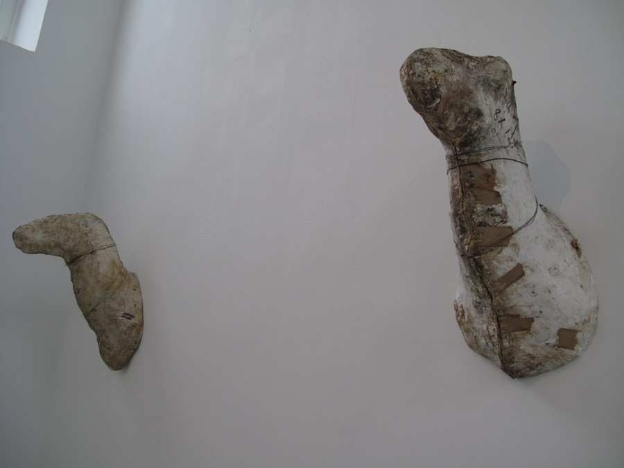 Lutz Bacher, ‘Horses’ (2008) 6