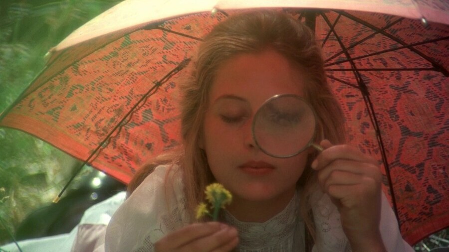 Picnic at Hanging Rock (1975) 7
