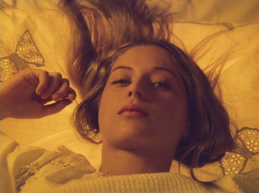 Picnic at Hanging Rock (1975) 21