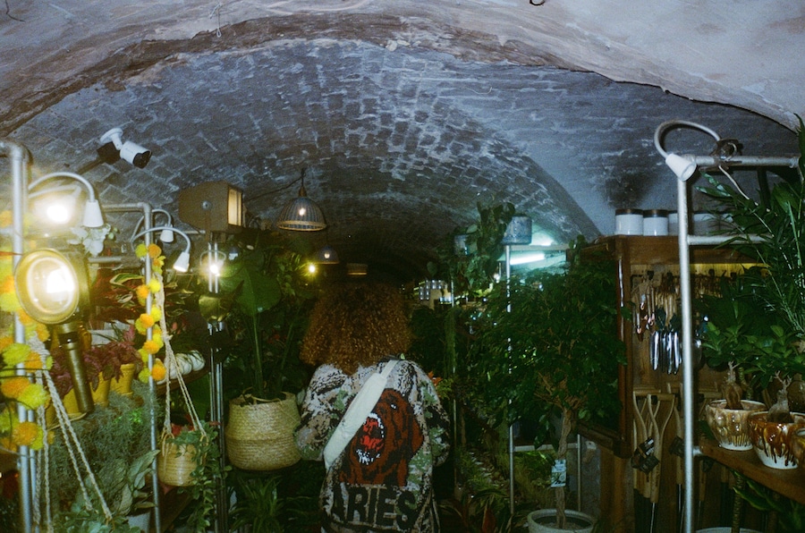 Jgrrey dazed day out 3