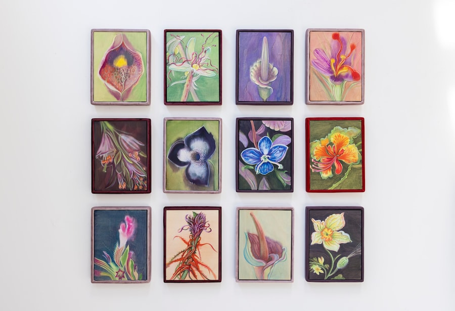 Alina Bliumis, Supra Nature, exposition collective 12