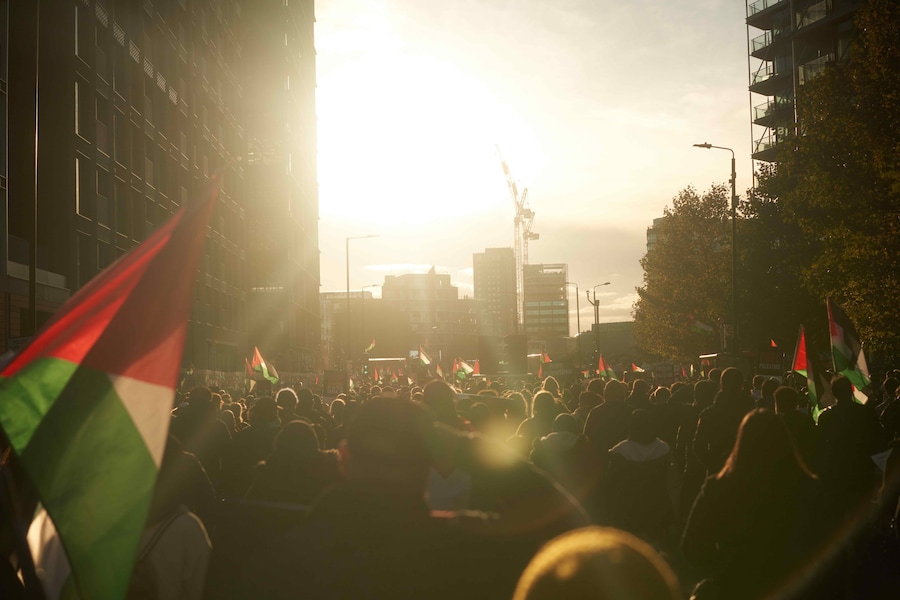 The pro-Palestine in London on 11 November 2023 7