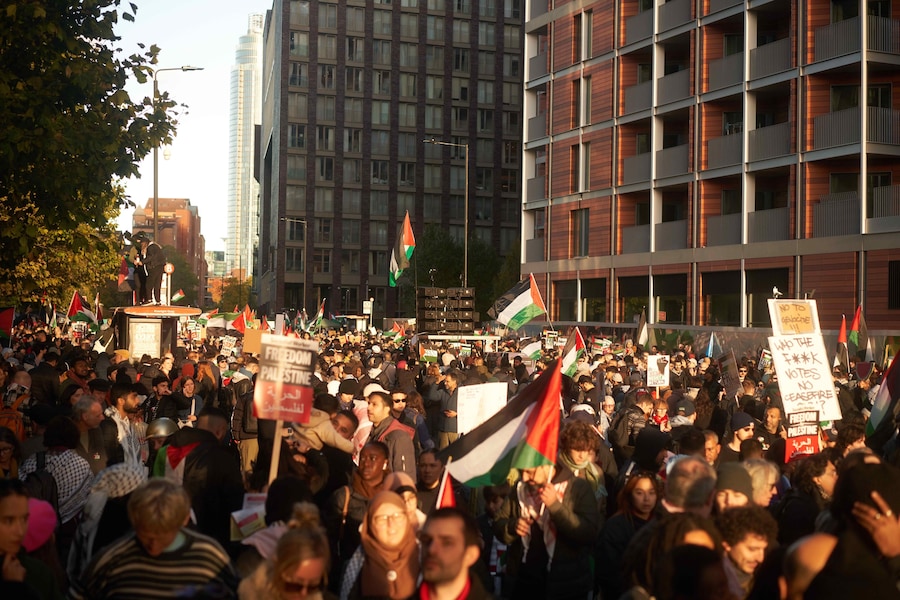 The pro-Palestine in London on 11 November 2023 9