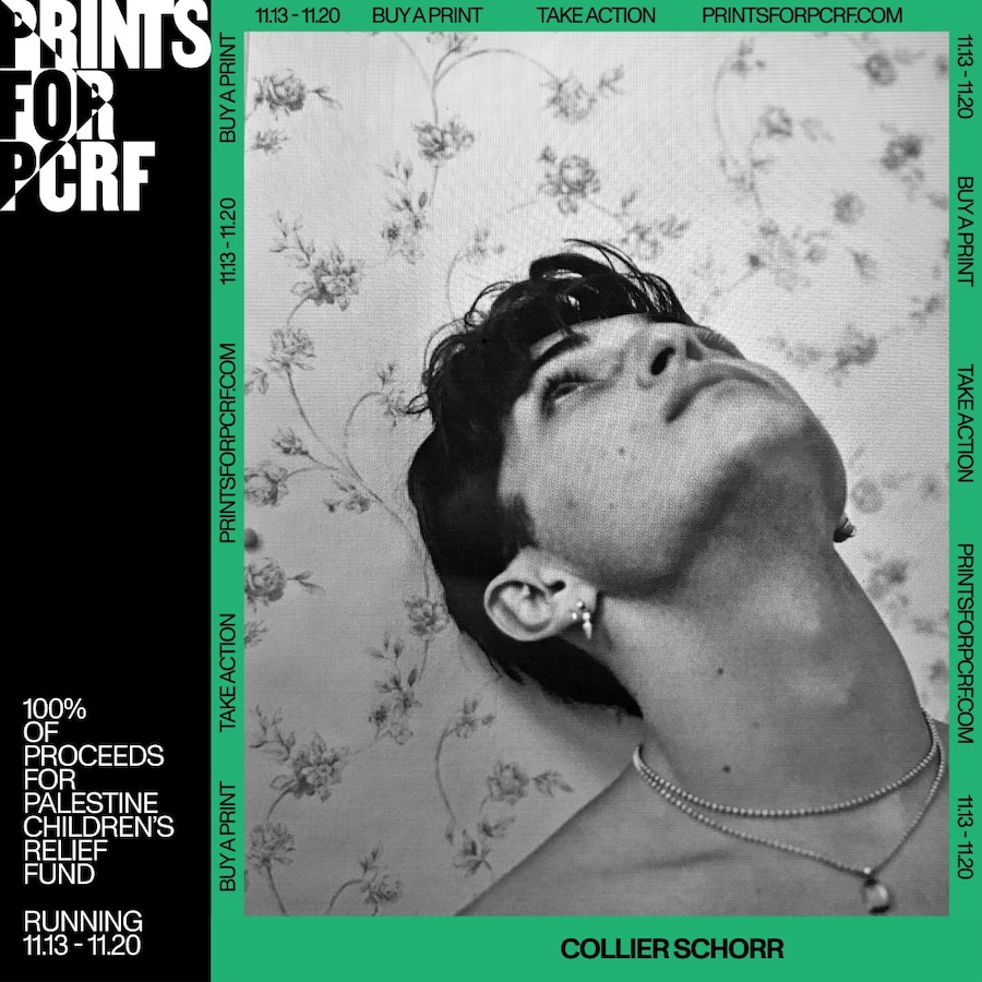 Collier Schorr 2