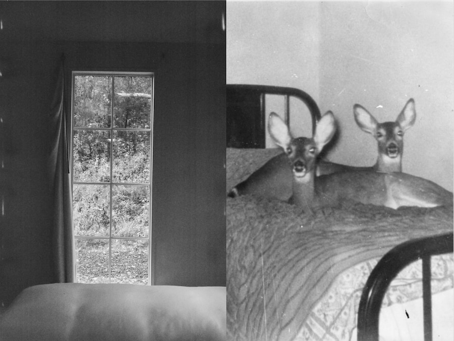 BEDS I&#39;VE SLEPT IN ZINE 5