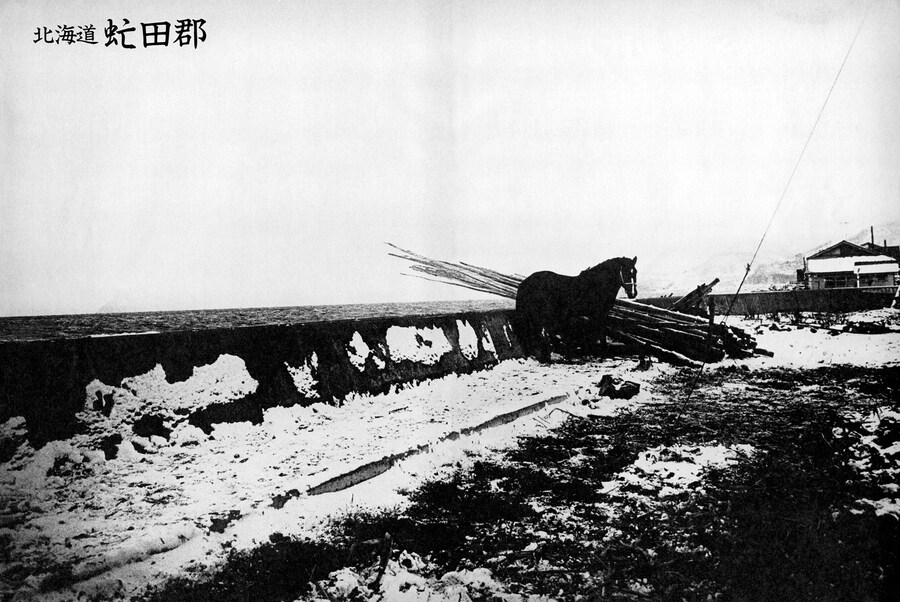 Daido Moriyama Shashin Jidai 1981–1988 2