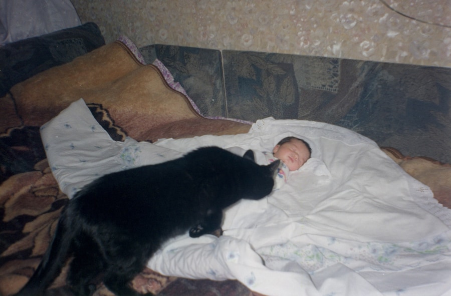 Nika Sandler, My Nonhuman Friends 2