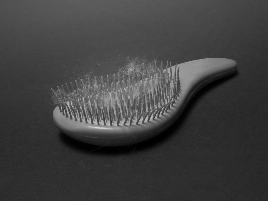 Nika Sandler, My Nonhuman Friends 10
