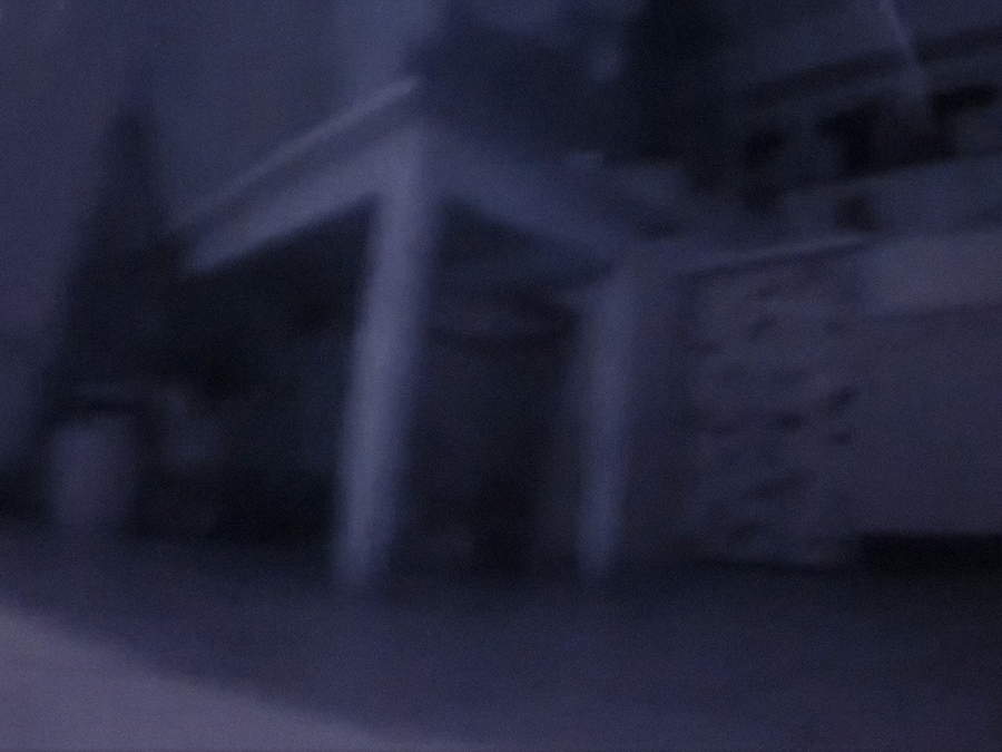 Nika Sandler, My Nonhuman Friends 6