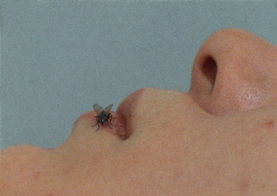 Yoko Ono: Music of the Mind (2024) 3