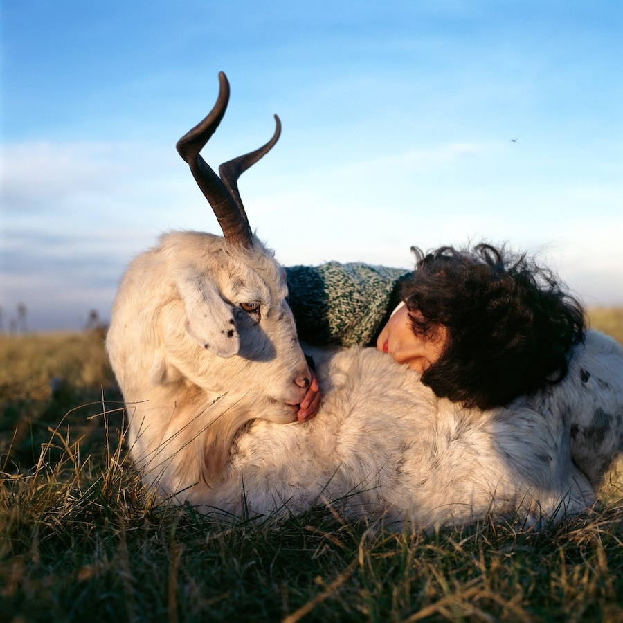 Alessandra Sanguinetti: The Adventures of Guille and Belinda 0
