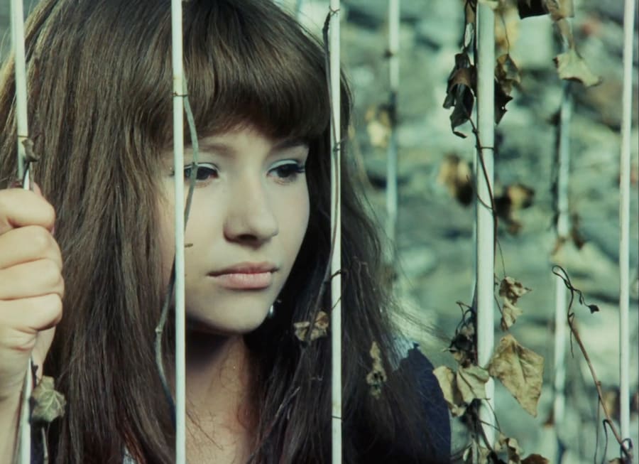 Valerie and Her Week of Wonders (1970) 16
