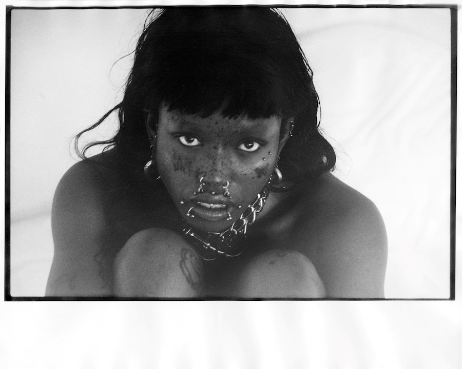 Evan Purdy, Collective Intimacies... (2024) 1