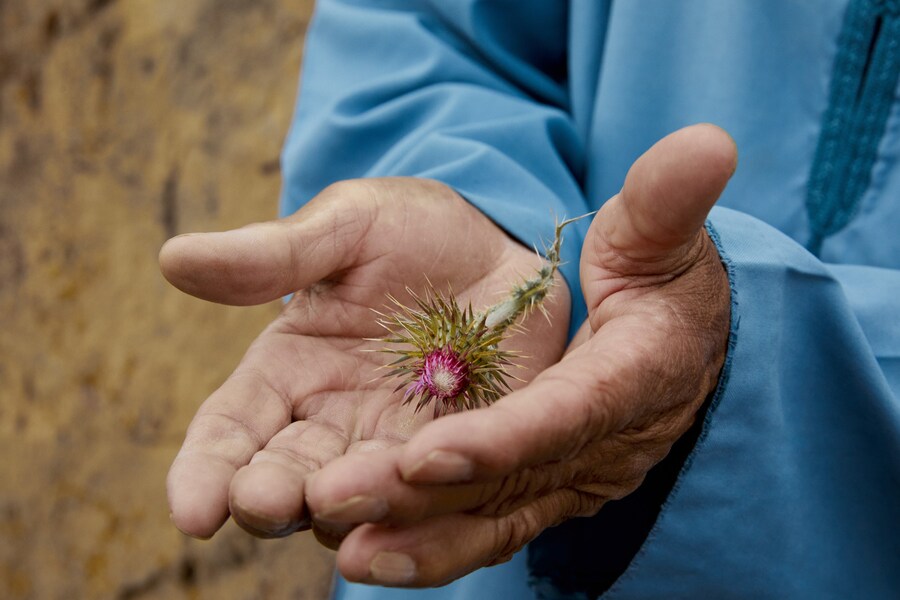 salomon film thomas lohr mountains Morocco 14