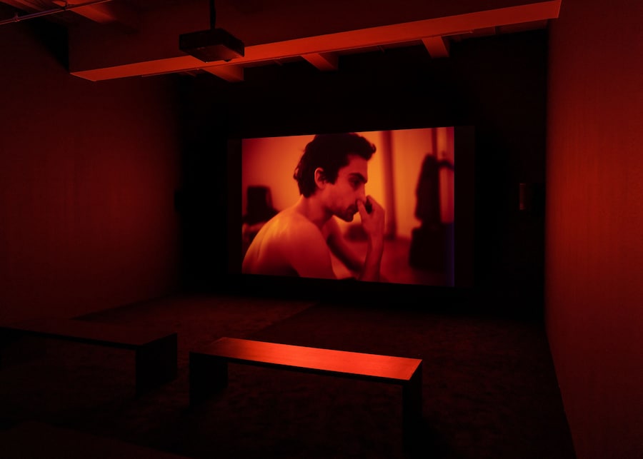 Nan Goldin, Memory Lost (2019-2021) 7