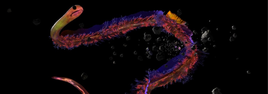 Josèfa Ntjam, Swell of Spæc(i)es (2024) 4