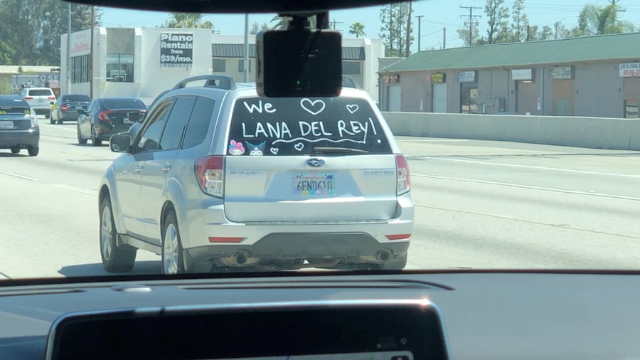 Lana del Rey Coachella 2024 Anna Cofone 1