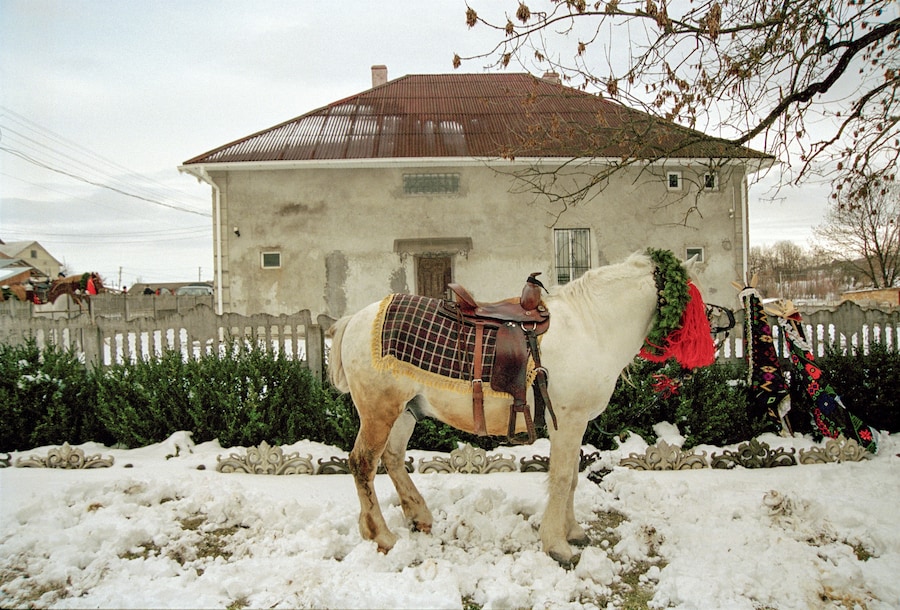 Yelena Yemchuk, Malanka (2024) 7