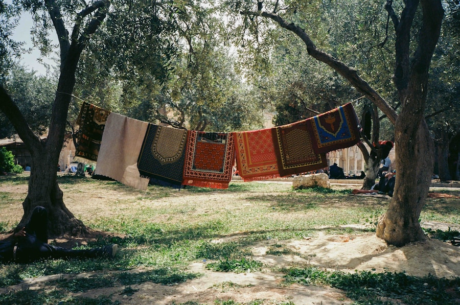 Adam Rouhana, Before Freedom 10