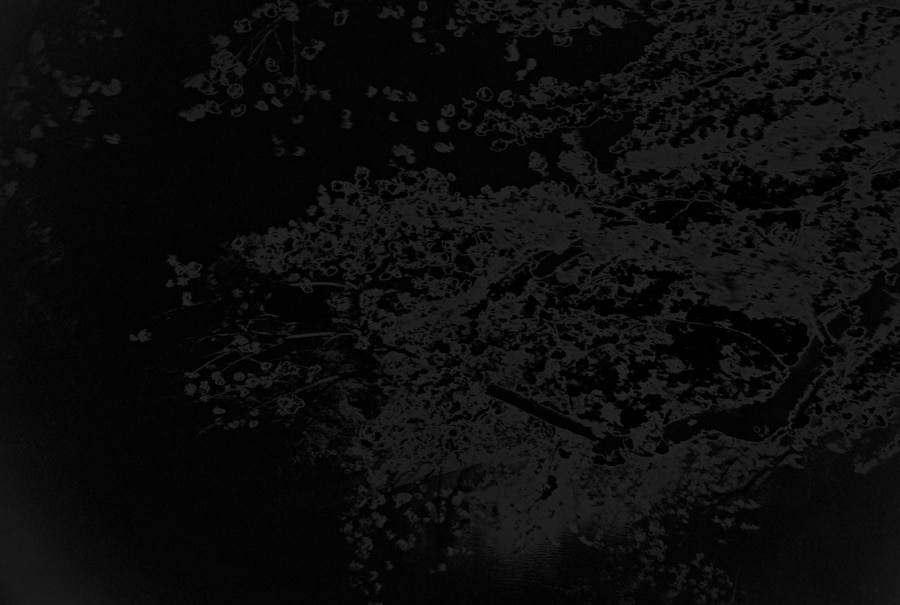 Sakiko Nomura, “Another Black Darkness #8’ (2009) 0