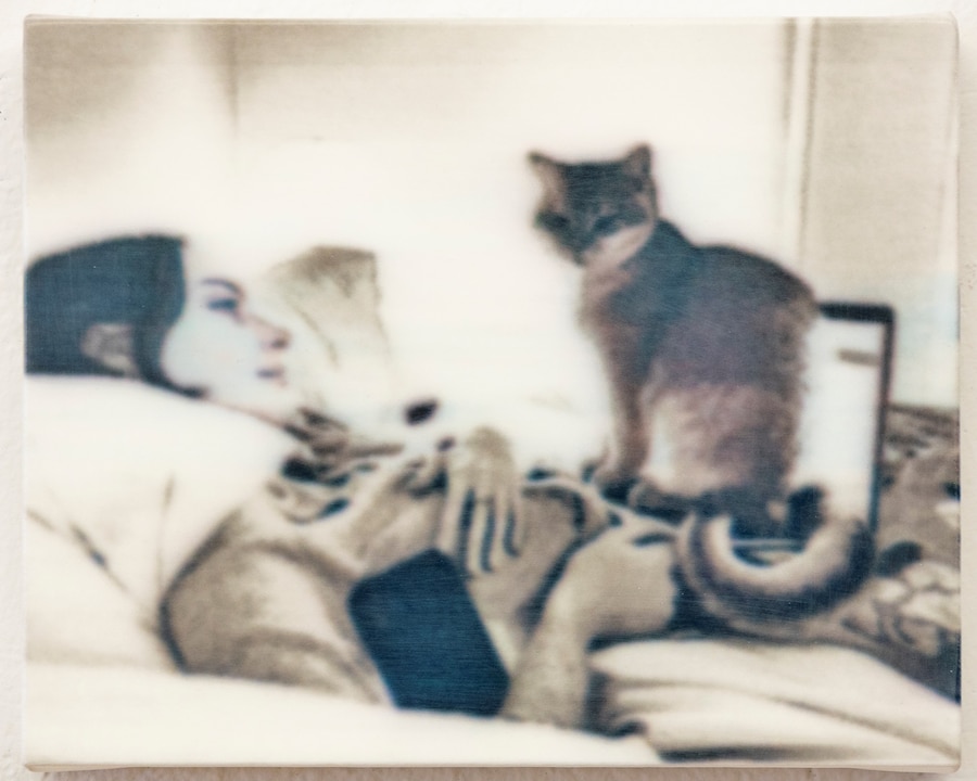 Camera Roll Orgy (2024) 3