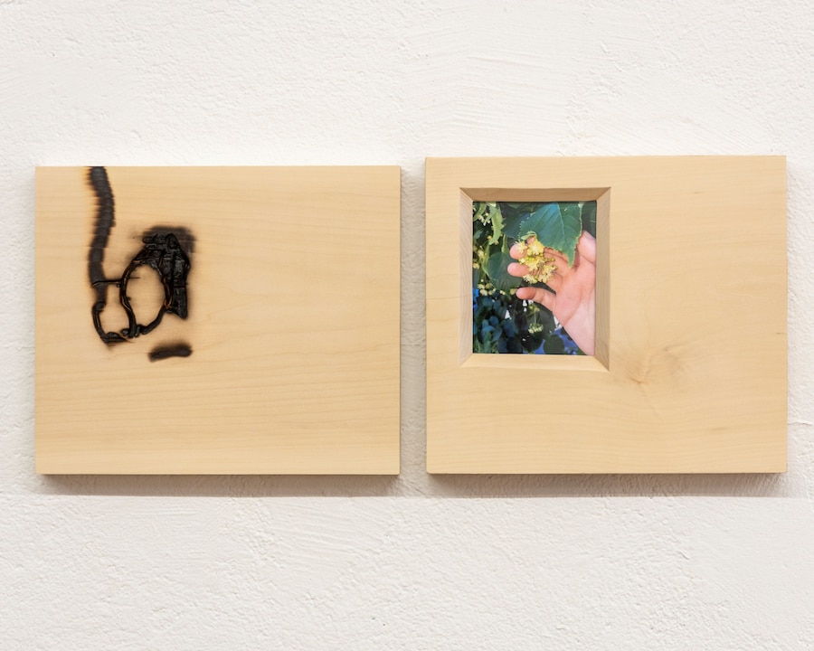 Camera Roll Orgy (2024) 10