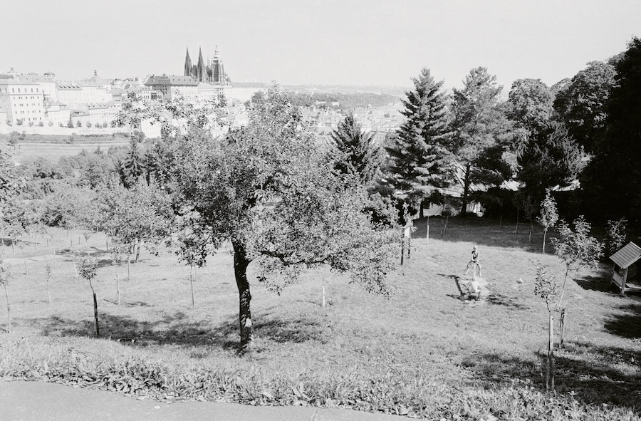 Julian Slagman, Looking at My Brother (2024) 12