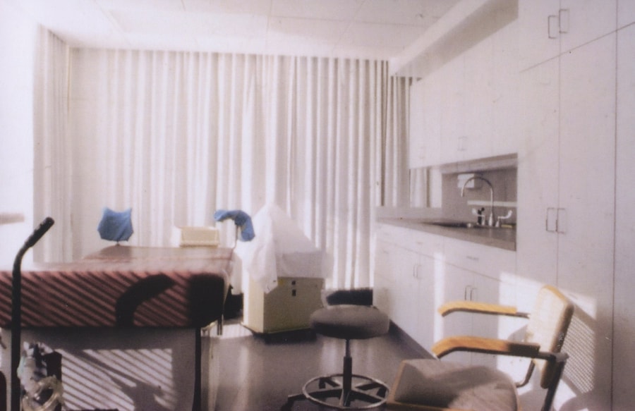 Carmen Winant, The Last Safe Abortion 5
