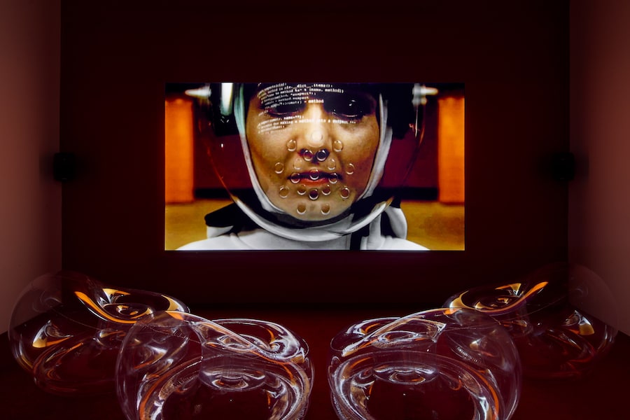 Shu Lea Cheang: Scifi New Queer Cinema 1994-2023 9