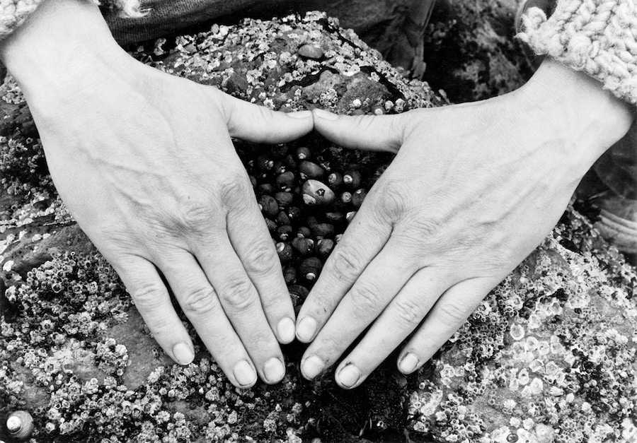 Tee A. Corinne: A forest fire between us (2024) 1