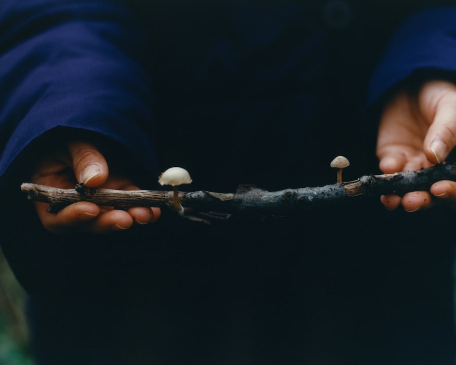 Photography Sirui Ma 8