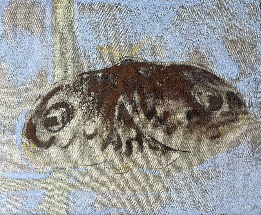 Djabril Boukhenaïss_Phalene n.1_peinture 4