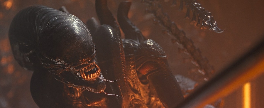 Alien Romulus movie by Fede Alvarez 1