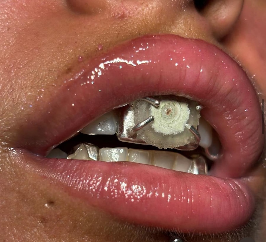 Vanessa Leon Mental Gardens 8