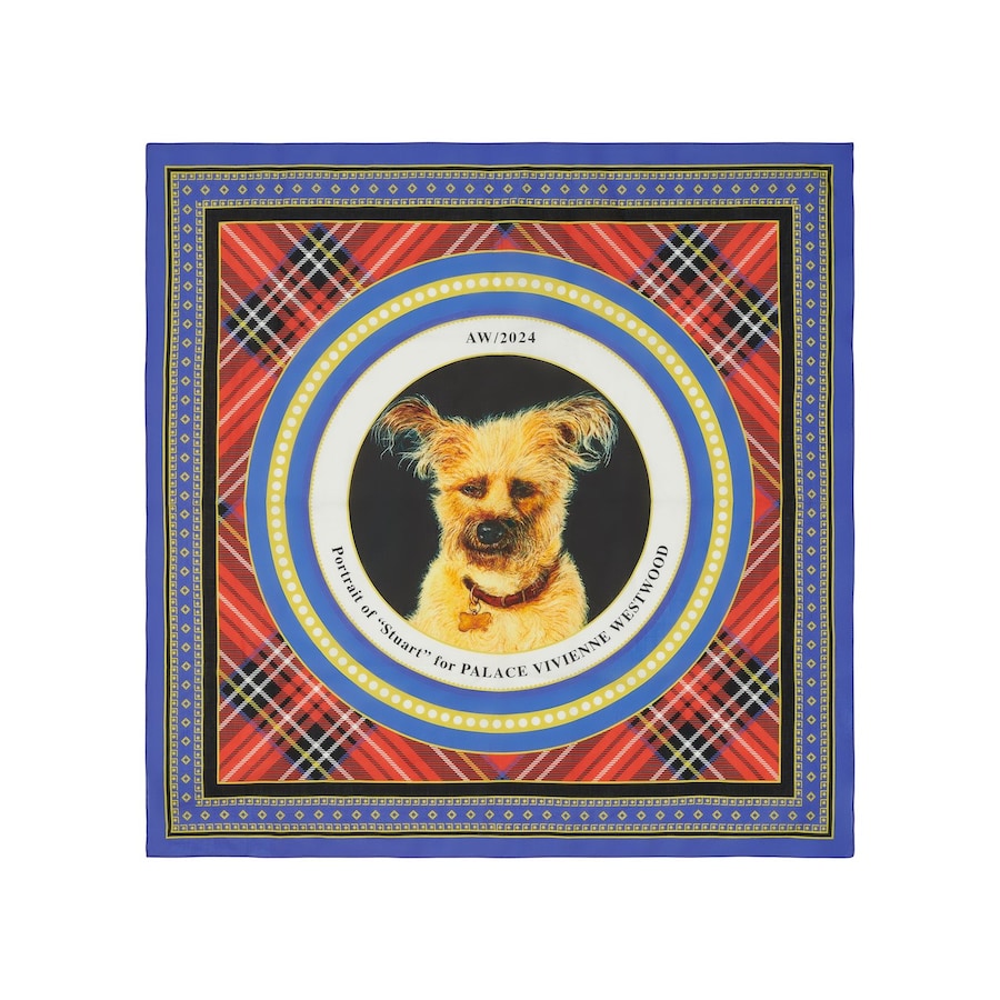 Palace x Vivienne Westwood collection 6