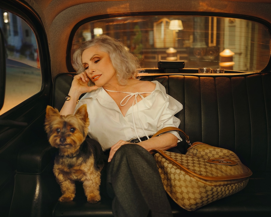 Gucci We Will Always Have London