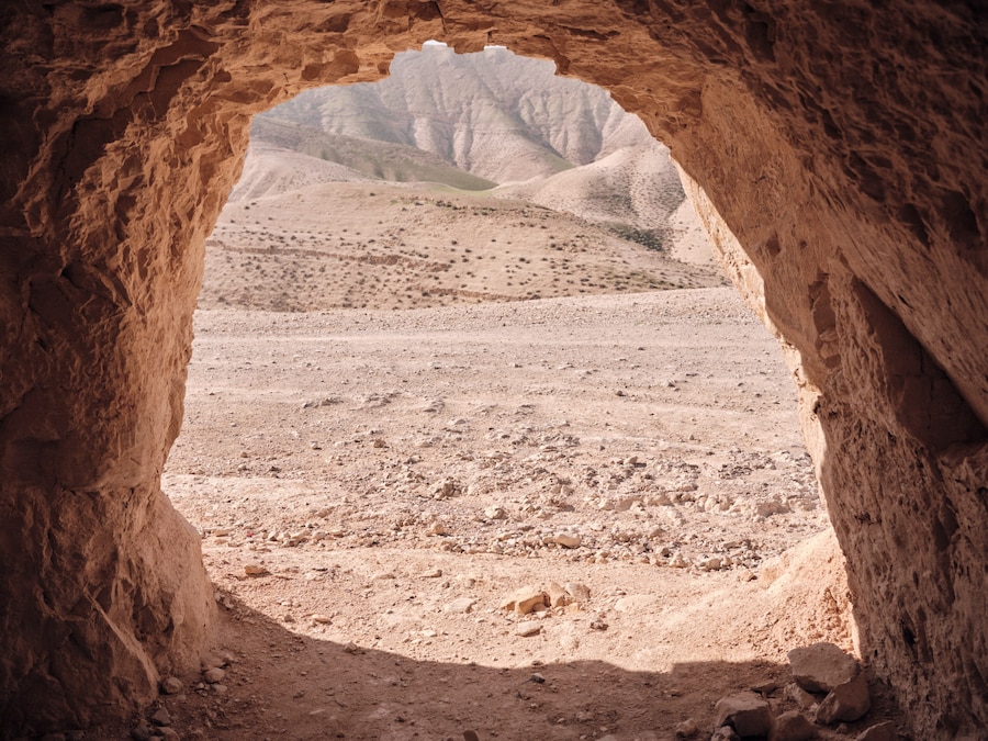 Greg Holland, Resistance: Art for a Free Palestine (2024) 10