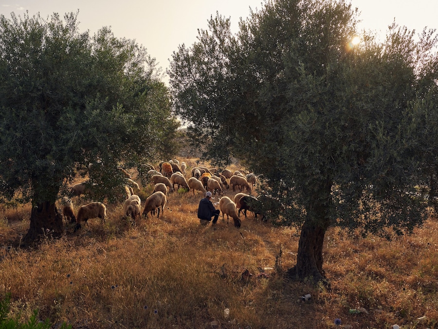 Greg Holland, Resistance: Art for a Free Palestine (2024) 13