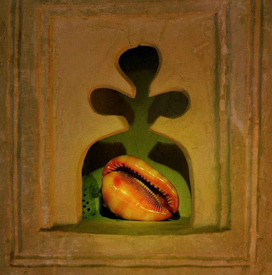 Eman Ali, Uzazi (Fertility), 2019, 100 x 100 cm. F 5