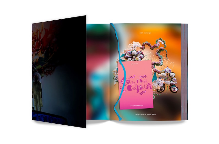 bjork_cornucopia_book_3 3