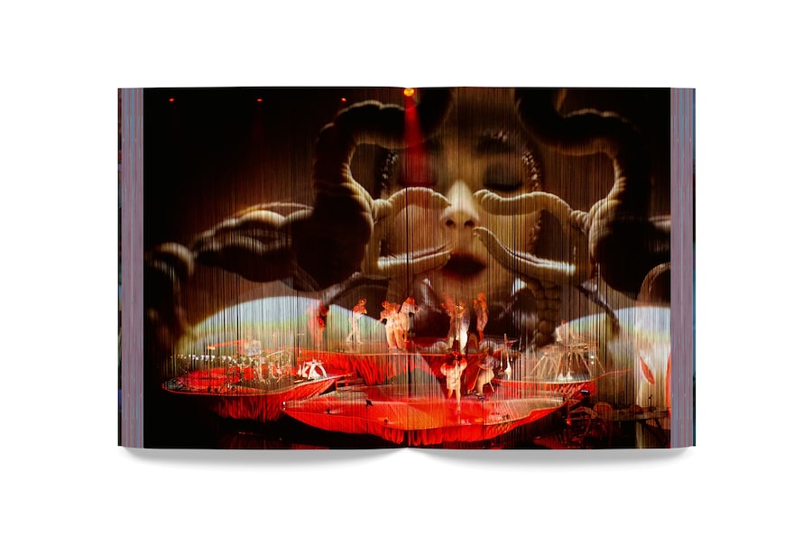 bjork_cornucopia_book_5 5