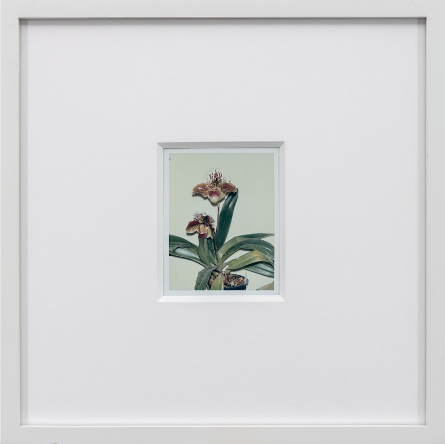 Marco Capaldo Cork Street Frieze show 13