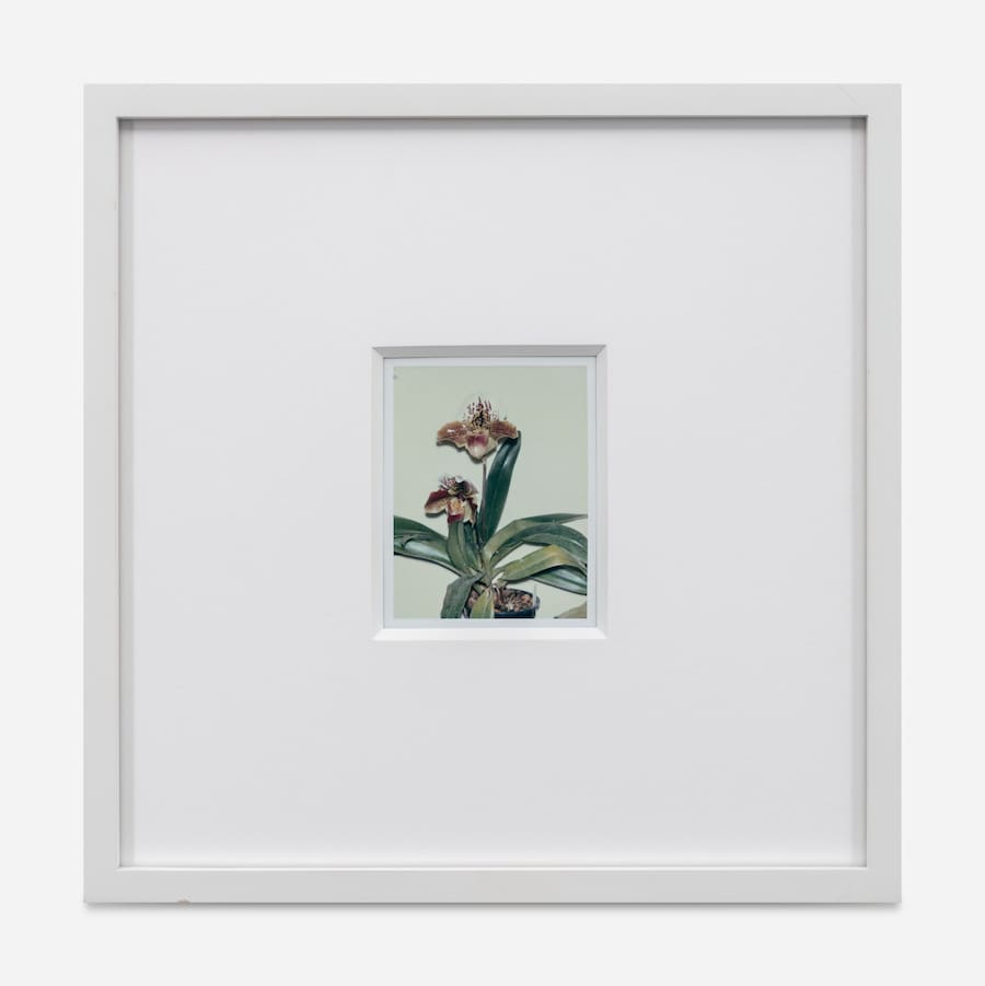 Marco Capaldo Cork Street Frieze show 14