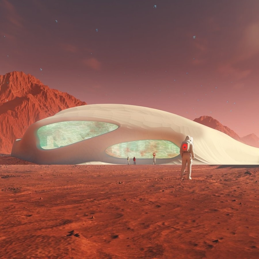 Mycelium architecture concept on Mars 0