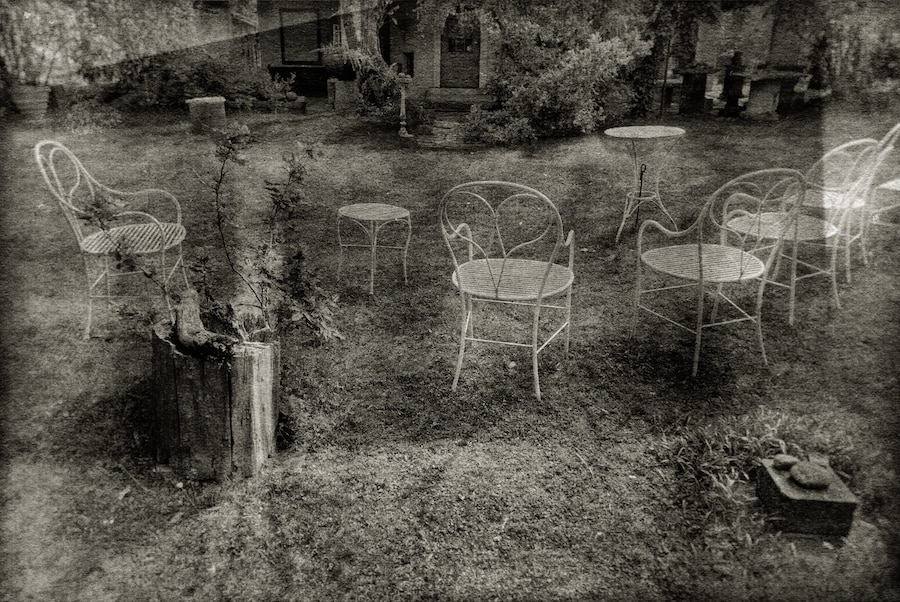 FLORE, untitled from the series Les Jardins de Josef (2023) 17