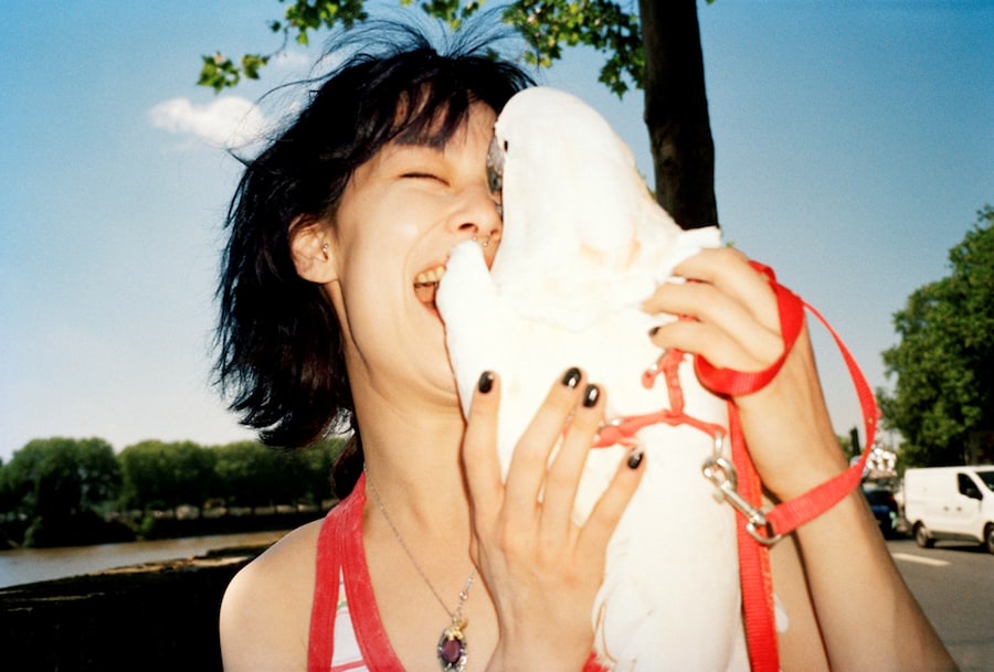 Luo Yang, Diaspora Birds 13